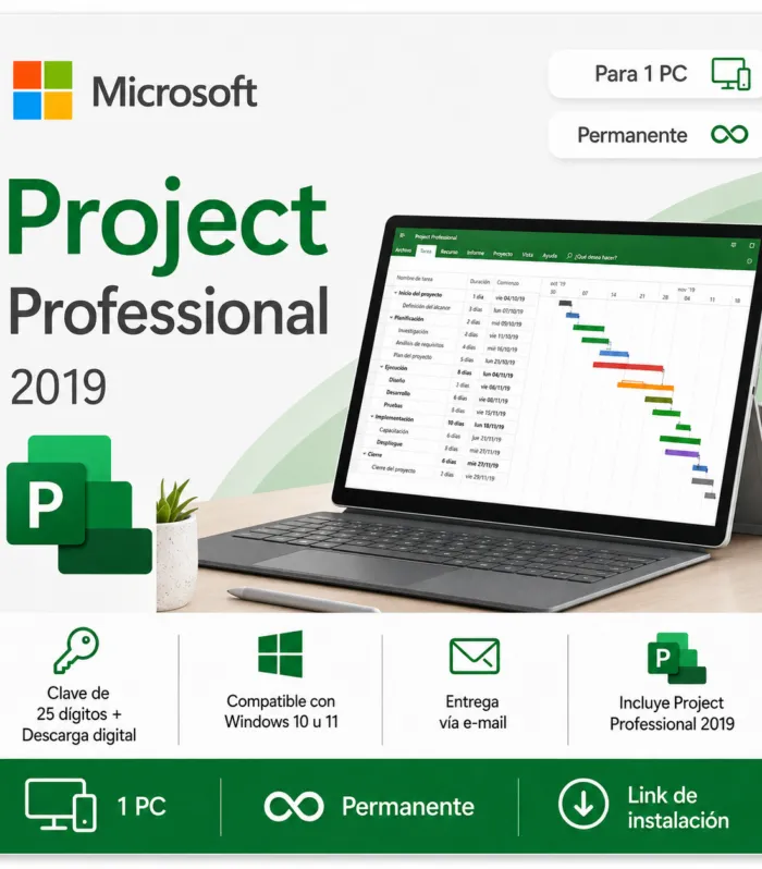 Microsoft Project 2019 Professional