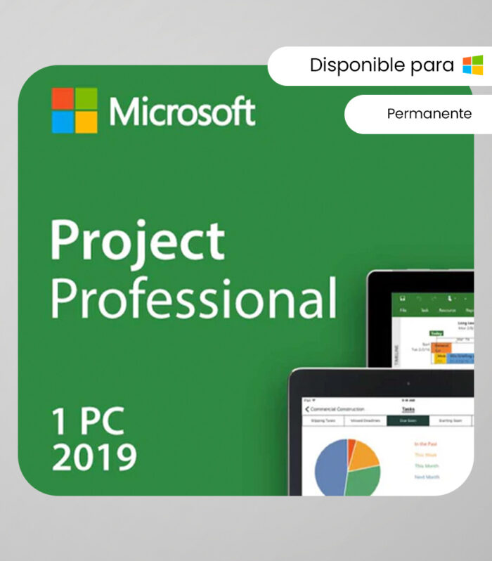Microsoft Project 2019 Professional