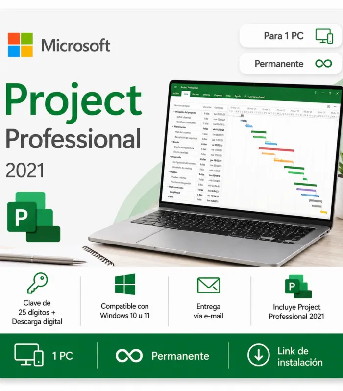 Microsoft Project 2021 Professional
