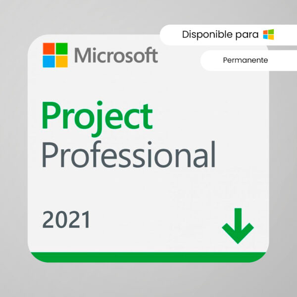 Microsoft Project 2021 Professional