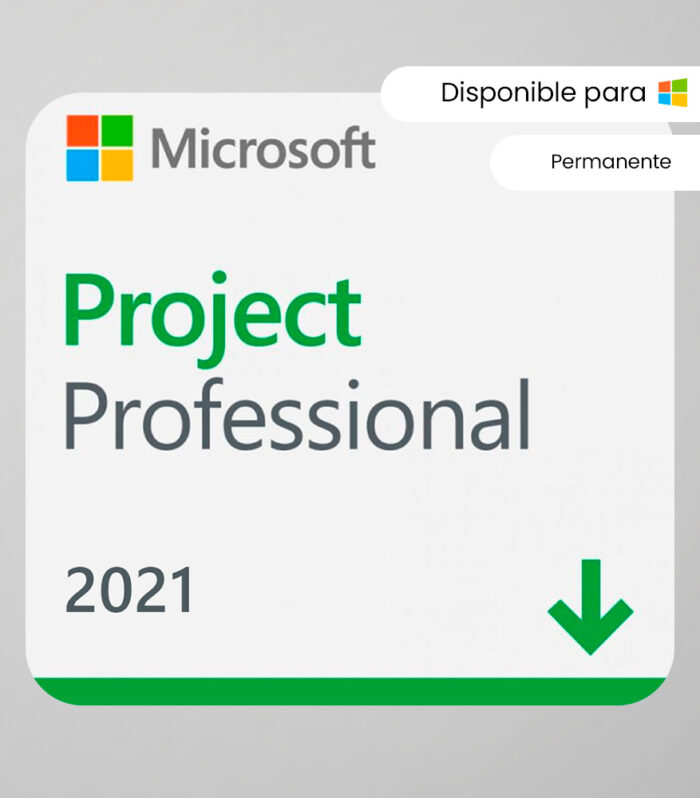 Microsoft Project 2021 Professional