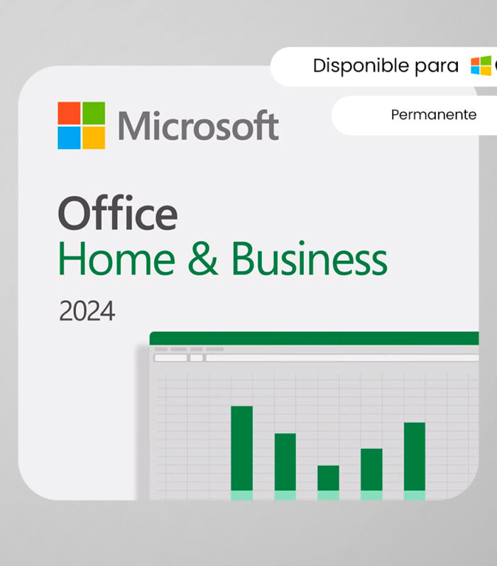 Office 2024 Home & Business